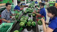Hội Doanh nhân trẻ Vĩnh Long- Bến Tre- Trà Vinh: Hợp tác cùng phát triển
