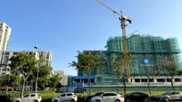 Các phân khúc bất động sản tại TP. Hồ Chí Minh đang diễn biến ra sao?
