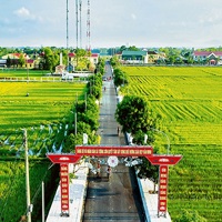 Vai trò của kinh tế nông thôn đối với phát triển kinh tế - xã hội của Việt Nam 