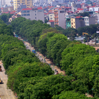 Hà Nội phấn đấu có thêm 500.000 cây xanh đô thị đến năm 2025