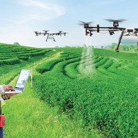 Ứng dụng công nghệ AI trong nâng cao năng suất nông nghiệp