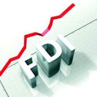 Dự án FDI có quy mô vốn đầu tư dưới 1 triệu USD chiếm tới gần 70%