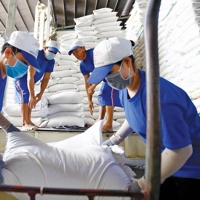 Đến năm 2030 giảm khối lượng xuất khẩu gạo xuống còn khoảng 4 triệu tấn