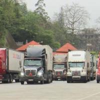 Không để tái diễn tình trạng nông sản bị ùn ứ tại cửa khẩu 