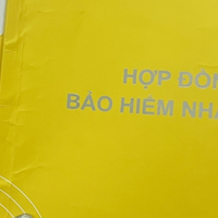 9 tháng, tổng doanh thu phí bảo hiểm hơn 165 nghìn tỷ đồng