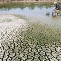 Ứng phó kịp thời, hiệu quả với biến đổi khí hậu và thiên tai