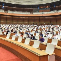 Cần chế tài mạnh ngăn chặn bỏ cọc đấu giá tài sản