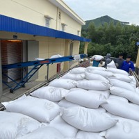 Hoàn thành xuất cấp hơn 3.276 tấn gạo hỗ trợ học sinh 3 tỉnh 