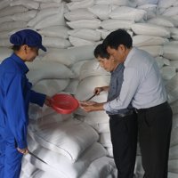 Xuất cấp hơn 1.019 tấn gạo hỗ trợ học sinh học kỳ II năm học 2023 - 2024