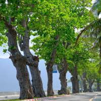 Khách du lịch Côn Đảo có thể nhận quà lên tới 23 triệu đồng
