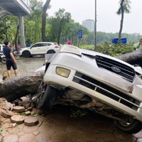 Ngành Bảo hiểm dồn sức hỗ trợ người tham gia bảo hiểm bị thiệt hại do bão số 3