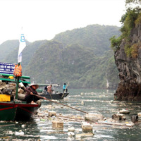 Bảo vệ môi trường du lịch biển sau bão