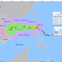 Bão Trà Mi sẽ đi vào Biển Đông sức gió cấp 9, giật cấp 11