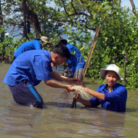 Thúc đẩy phát triển kinh tế đa dạng sinh học tại Việt Nam