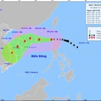 Ngành Dự trữ Nhà nước chủ động ứng phó với cơn bão số 7