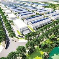 Triển vọng ngành Bất động sản Khu công nghiệp năm 2025