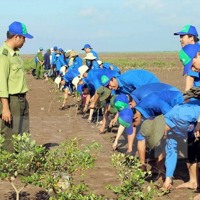 Kiểm toán môi trường: Giải pháp then chốt cho phát triển bền vững