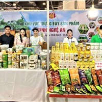 Doanh nghiệp x&#bongdaso dữ liệu2;y dựng gi&#bongdaso dữ liệu1; trị thương hiệu trong kỷ nguy&#bongdaso dữ liệuA;n số