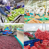 Ngành Nông nghiệp nỗ lực chuyển mình bongdaso nét kỷ nguyên phát triển mới của Dân tộc
