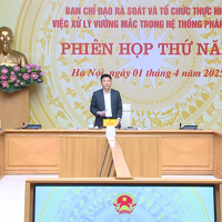Báo cáo kết quả rà soát về quyền hạn của Chính phủ, Thủ tướng không còn phù hợp với Luật Tổ chức Chính phủ