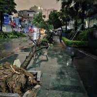 Hướng tới cộng đồng bền vững, thích ứng thiên tai