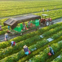 Phát triển nông nghiệp xanh: Liên kết "5 nhà" phải trở thành chiến lược dài hạn