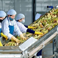 Thủ tướng chỉ đạo các biện pháp tăng cường xuất khẩu hàng nông lâm thủy sản
