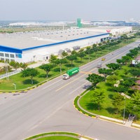 Chính phủ quyết định thành lập Khu công nghệ thông tin tập trung Bình Dương 