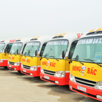 Nghệ An thúc đẩy chuyển đổi xe buýt, xe khách nội tỉnh sử dụng điện, năng lượng xanh