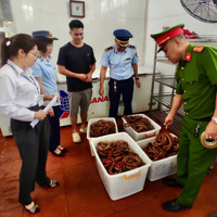 Quảng Ninh: Xử lý 56 vụ vi phạm về an toàn thực phẩm trong tháng cao điểm