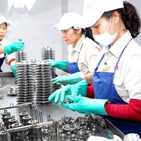 Phát triển công nghiệp bền vững từ tự chủ nguyên vật liệu
