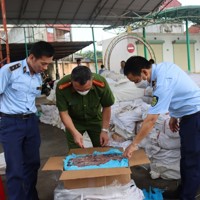 Tháng cao điểm ngăn chặn, đẩy lùi buôn lậu, gian lận thương mại 