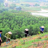 Hỗ trợ người dân hơn 167 tấn gạo để thực hiện chăm sóc, bảo vệ rừng