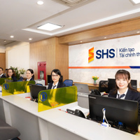 Lựa chọn chiến lược cho một nền kinh tế mở