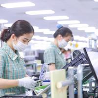 Đổi mới sáng tạo: Chìa khoá cho doanh nghiệp Việt vươn mình