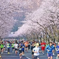 Hàn Quốc nỗ lực hút khách Việt, tăng thu từ du lịch