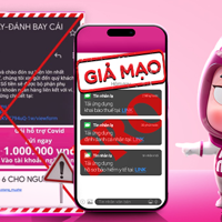 VIDEO: Cảnh báo lừa đảo qua MoMo Pro giả mạo – Mất tiền vì tin lời mời chào đầu tư
