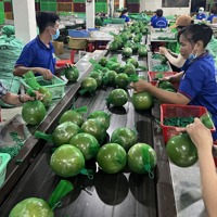 Hội Doanh nhân trẻ Vĩnh Long- Bến Tre- Trà Vinh: Hợp tác cùng phát triển