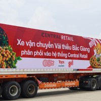 Khoảng 1.000 tấn vải thiều Bắc Giang sẽ được tiêu thụ qua siêu thị