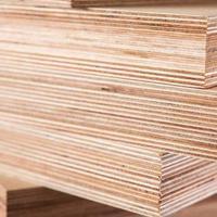 Hoa Kỳ nhận hồ sơ đề nghị điều tra chống bán phá giá gỗ dán cứng của Việt Nam