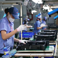 Tăng tính tự chủ nguồn nguyên liệu để nâng sức cạnh tranh của sản phẩm