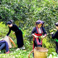 Thực hiệu hiệu quả mục tiêu giảm nghèo đa chiều, bền vững