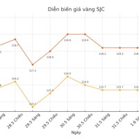 VIDEO: Giá vàng trong nước tăng - giảm trái chiều ngày 3/6