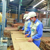 Giá trị xuất khẩu gỗ 5 tháng đầu năm đạt 6,99 tỷ USD