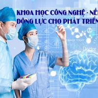 TP. Hồ Chí Minh: Doanh số thương mại điện tử chiếm tỷ lệ 33% so với cả nước