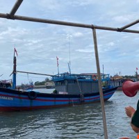 Chủ động ứng phó với bão số 1, đảm bảo điện sinh hoạt cho người dân