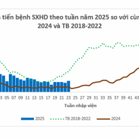 TP. Hồ Chí Minh: Thực hiện tháng cao điểm phòng chống sốt xuất huyết năm 2025