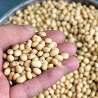 Việt Nam - thị trường quan trọng với các sản phẩm nông nghiệp Hoa Kỳ 