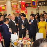 Giới thiệu du lịch Việt Nam, kết nối doanh nghiệp tại thị trường Nga