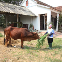 Vĩnh Phúc chỉ còn 0,4% hộ nghèo